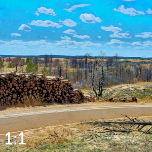 Nebraska National Forest Halsey 58189 I4
