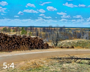 Nebraska National Forest Halsey 58189 I4