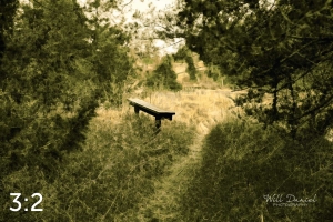 Long Pine State Recreation Area 58494 O1mona