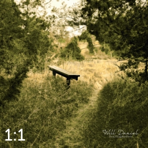 Long Pine State Recreation Area 58494 O1mona