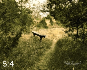 Long Pine State Recreation Area 58494 O1mona