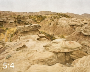 Toadstool Geologic Park 58415 H2