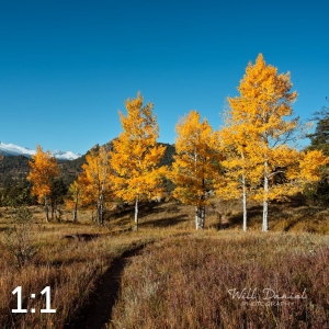 Rocky Mountain National Park 510176