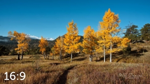 Rocky Mountain National Park 510176