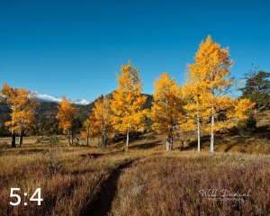 Rocky Mountain National Park 510176