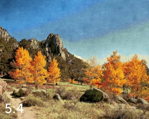 Rocky Mountain National Park 510284 I4foster