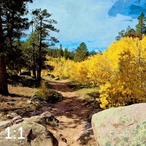 Rocky Mountain National Park 510633 I4