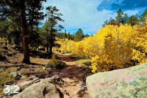 Rocky Mountain National Park 510633 I4