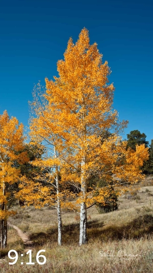 Rocky Mountain National Park 510304