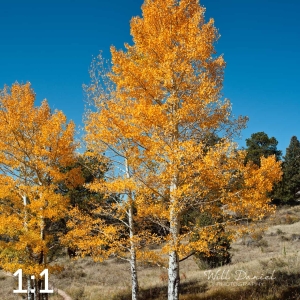 Rocky Mountain National Park 510304