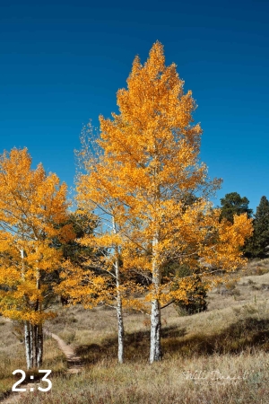 Rocky Mountain National Park 510304