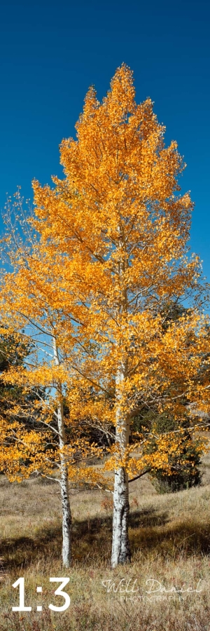 Rocky Mountain National Park 510304