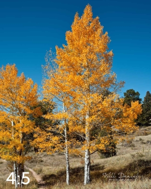 Rocky Mountain National Park 510304