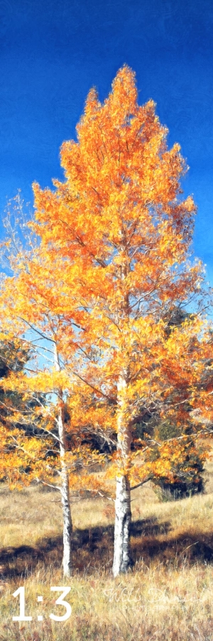 Rocky Mountain National Park 510304-O4fulton