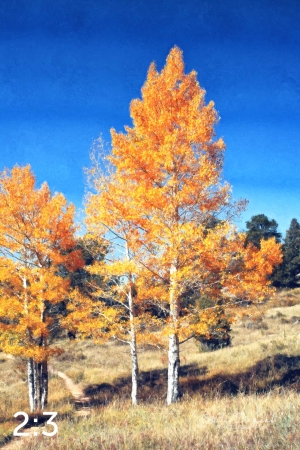 Rocky Mountain National Park 510304-O4fulton
