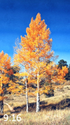 Rocky Mountain National Park 510304-O4fulton