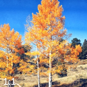 Rocky Mountain National Park 510304-O4fulton