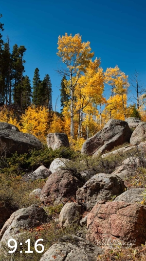 Rocky Mountain National Park 510857