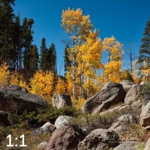 Rocky Mountain National Park 510857