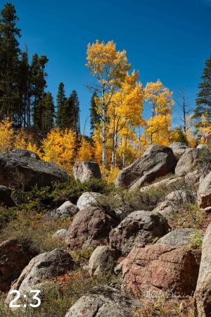 Rocky Mountain National Park 510857