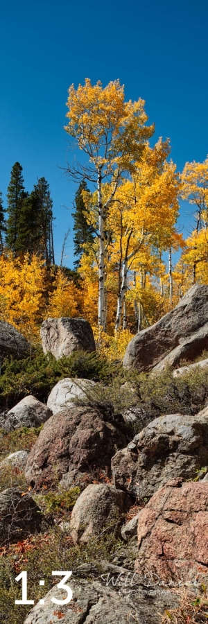 Rocky Mountain National Park 510857