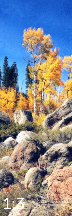 Rocky Mountain National Park 510857-N2fulton