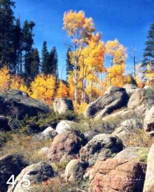 Rocky Mountain National Park 510857-N2fulton