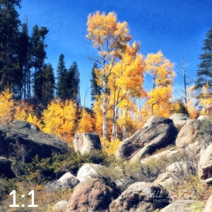 Rocky Mountain National Park 510857-N2fulton