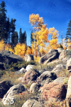 Rocky Mountain National Park 510857-N2fulton