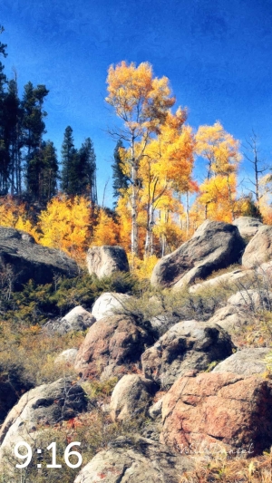 Rocky Mountain National Park 510857-N2fulton
