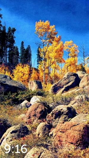Rocky Mountain National Park 510857-I4fulton