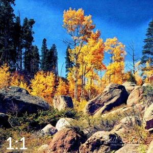 Rocky Mountain National Park 510857-I4fulton