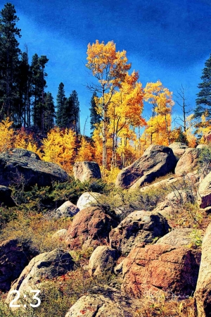Rocky Mountain National Park 510857-I4fulton