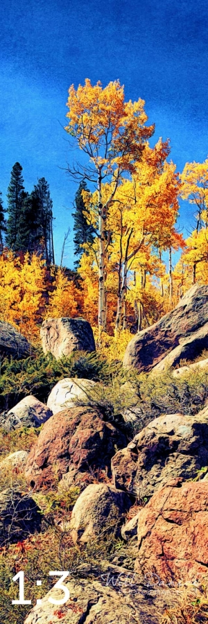 Rocky Mountain National Park 510857-I4fulton
