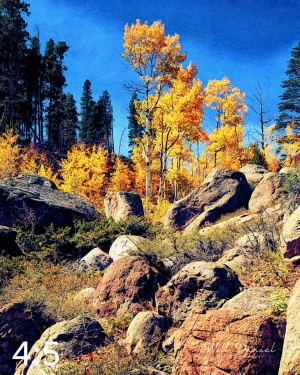 Rocky Mountain National Park 510857-I4fulton