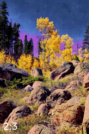 Rocky Mountain National Park 510857-I4amaranth