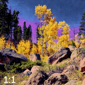Rocky Mountain National Park 510857-I4amaranth