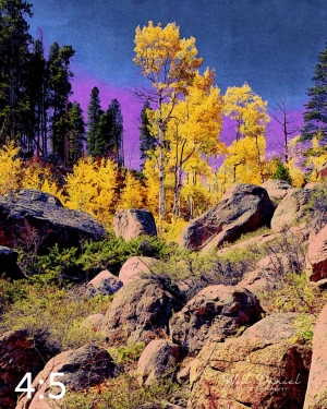 Rocky Mountain National Park 510857-I4amaranth