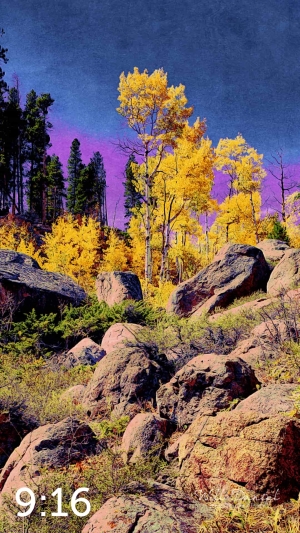 Rocky Mountain National Park 510857-I4amaranth