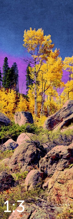 Rocky Mountain National Park 510857-I4amaranth
