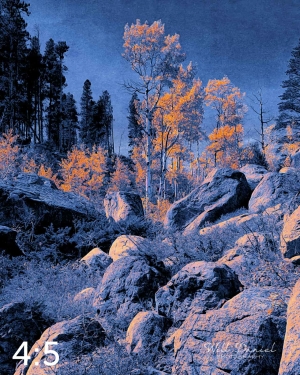 Rocky Mountain National Park 510857-I4maya