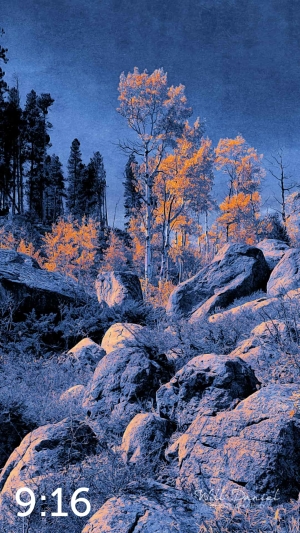 Rocky Mountain National Park 510857-I4maya