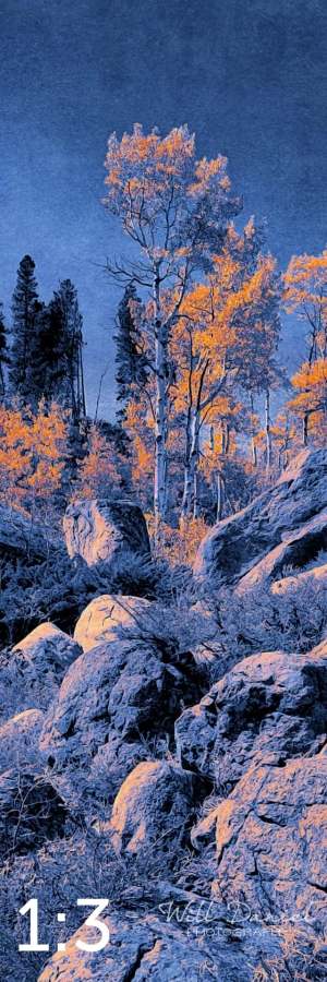 Rocky Mountain National Park 510857-I4maya