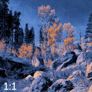 Rocky Mountain National Park 510857-I4maya