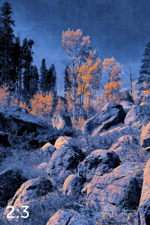 Rocky Mountain National Park 510857-I4maya