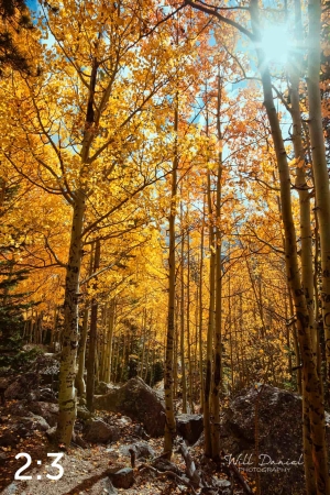 Rocky Mountain National Park 59600
