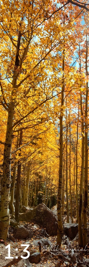 Rocky Mountain National Park 59600