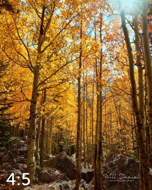 Rocky Mountain National Park 59600