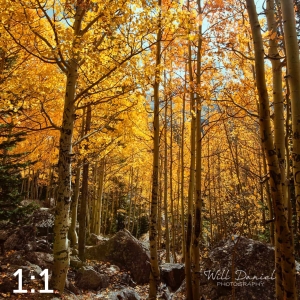 Rocky Mountain National Park 59600