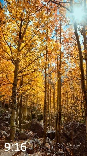 Rocky Mountain National Park 59600